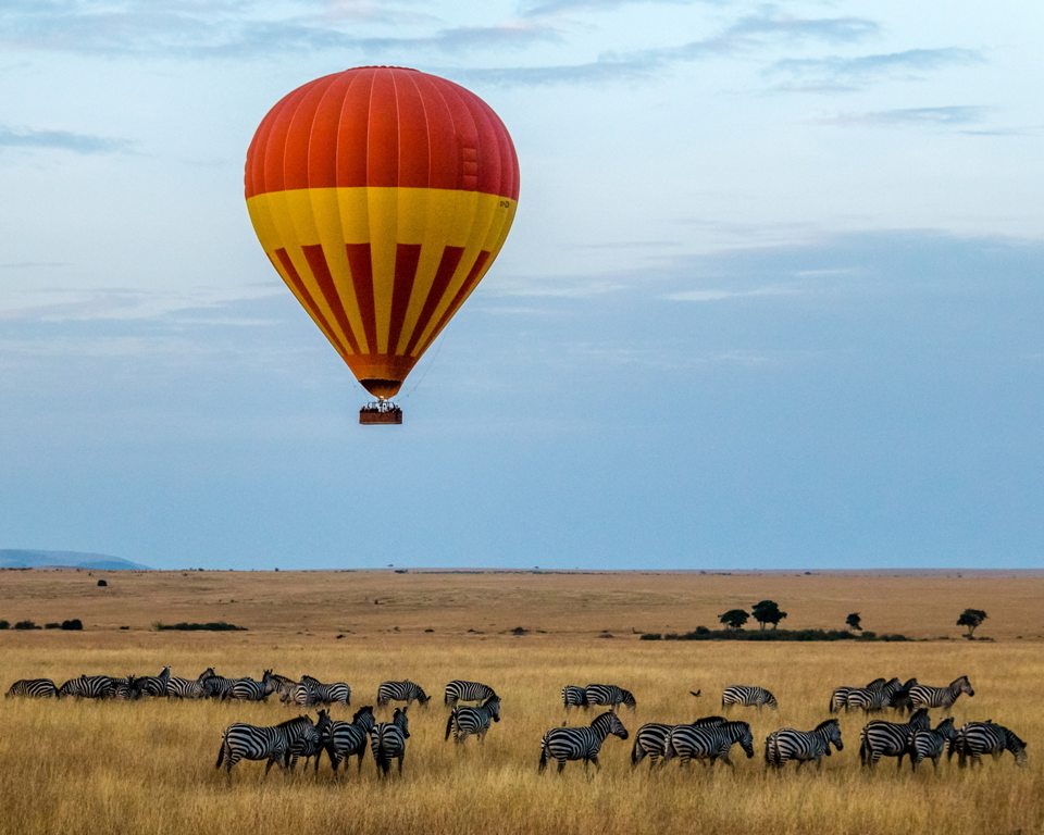 A Luxury Honeymoon on Safari