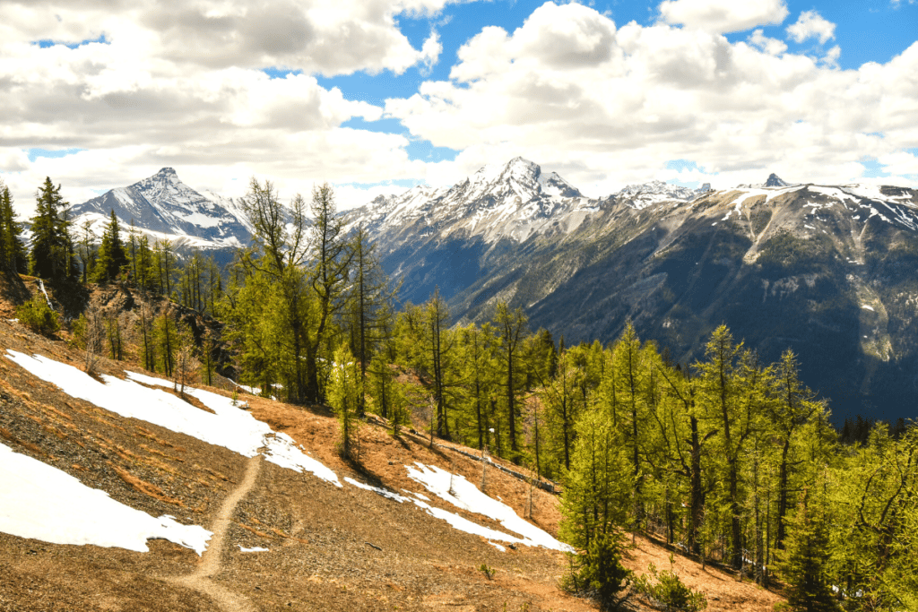 Hiking the Columbia Valley’s Mount Bruce Great Vacations